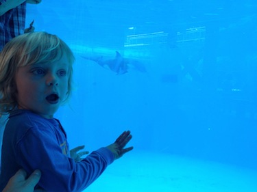 sea world