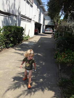 wems in driveway