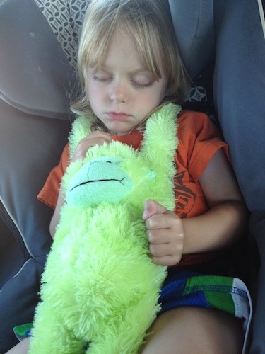 napping in car