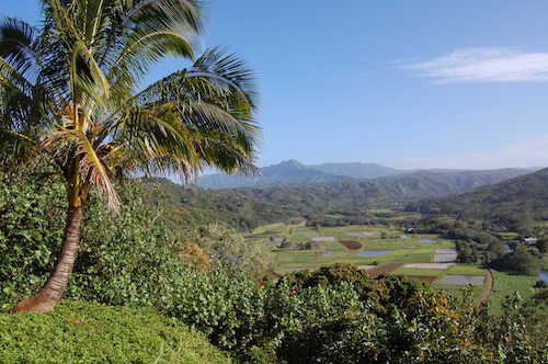 hawaii 22