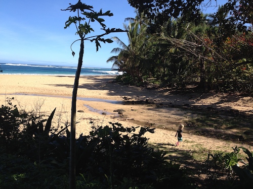 hawaii 24
