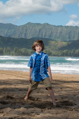 hawaii 3