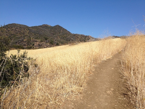curving path